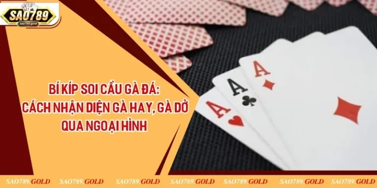 Bí Kíp Soi Cầu Gà Đá: Cách Nhận Diện Gà Hay, Gà Dở Qua Ngoại Hình, Lối Đá Và Lịch Sử Thành Tích.