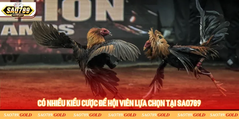 Có nhiều kiểu cược để hội viên lựa chọn tại Sao789 Có nhiều kiểu cược để hội viên lựa chọn tại Sao789