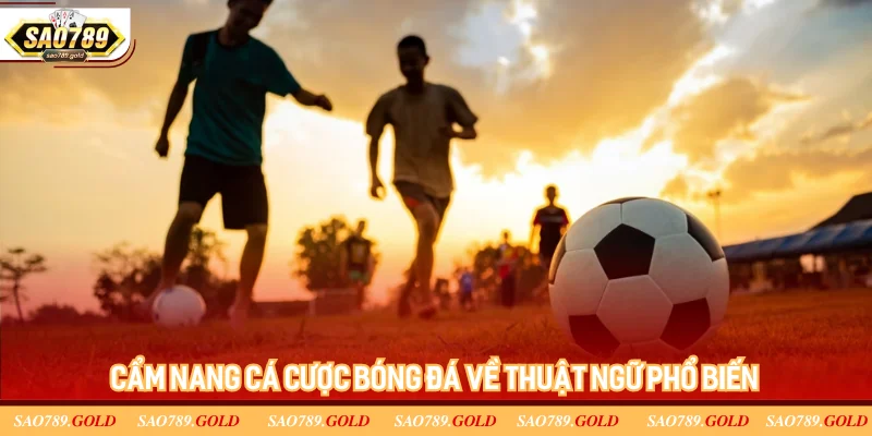 Một số thuật ngữ cá cược bóng đá thường gặp Một số thuật ngữ cá cược bóng đá thường gặp