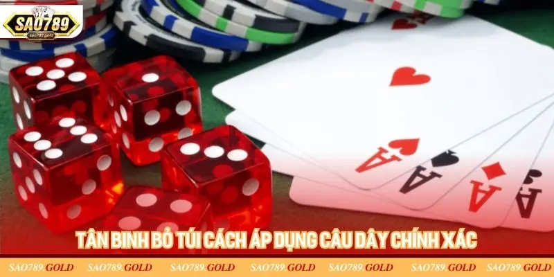 Tân binh bỏ túi cách áp dụng câu dây chính xác Tân binh bỏ túi cách áp dụng câu dây chính xác